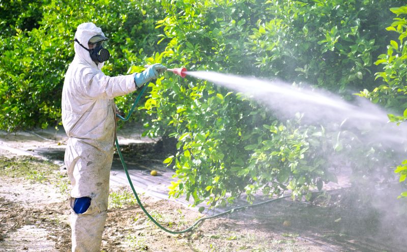 Roach Fumigation in Gwinnett County, GA